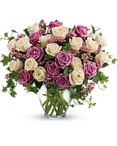 Rosas románticas victorianas de San Valentín