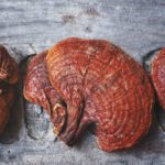 The Benefits of Reishi, the Mushroom of Immortality