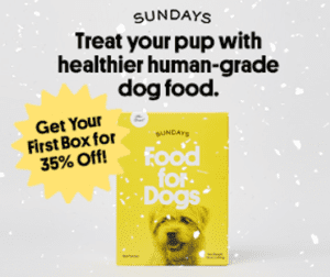 Dog Treat Ad