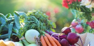 regrow your own veggies at home