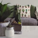 Succulent plant in cute vases on table for decoration