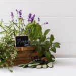 Herb Garden Tips labeling