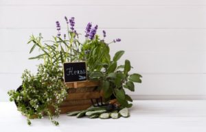Herb Garden Tips labeling