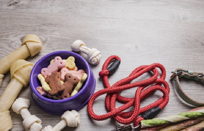 homemade dog treats