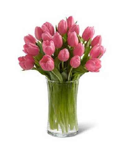 Valentine's Day-Pink Prelude Tulips