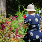 woman gardening outside spring garden prep for beginners