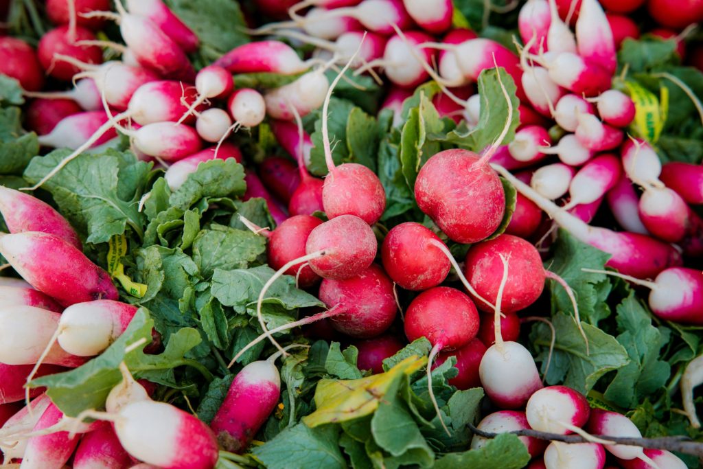 radishes in garden Spring Garden Prep for Beginners