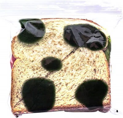 April fools pranks for kids, Moldy Sandwich 