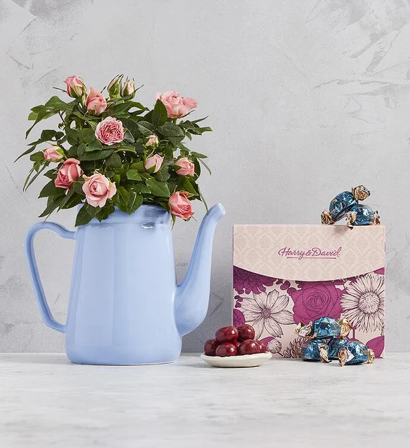 rose pitcher