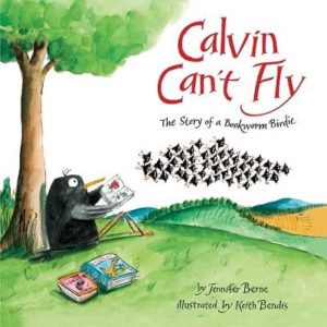 Children’s books about diversity, Calvin Can't Fly