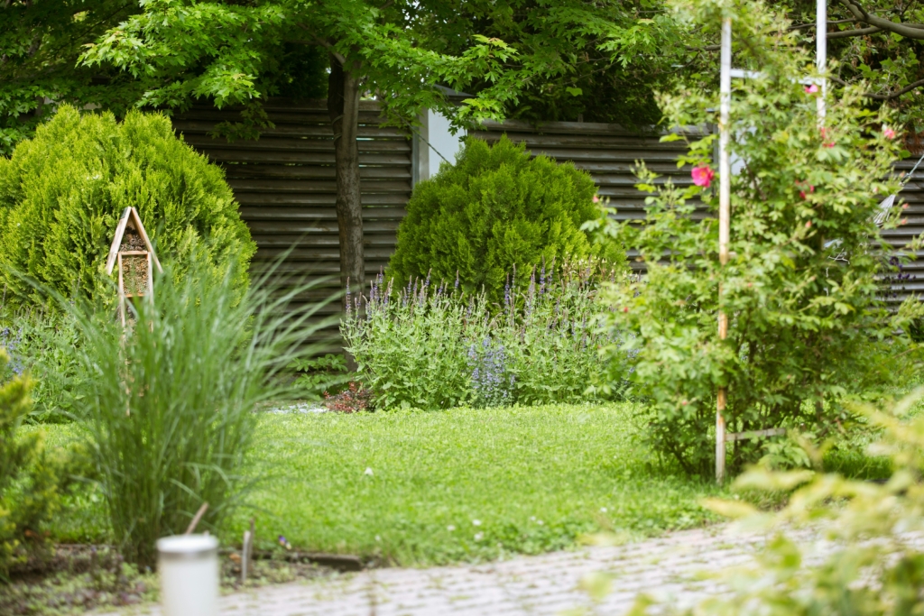 backyard patio. greenery outdoor living space ideas summer
