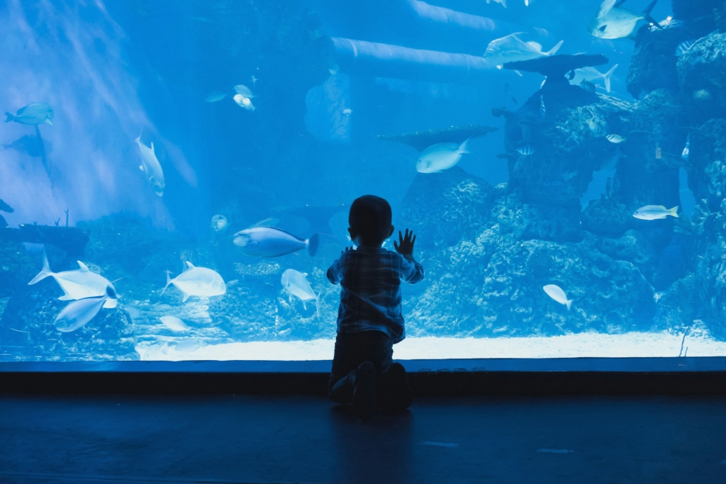 kid at the aquarium family weekend getaway ideas