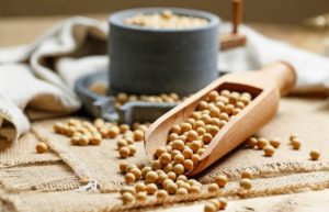 soybean health benefits