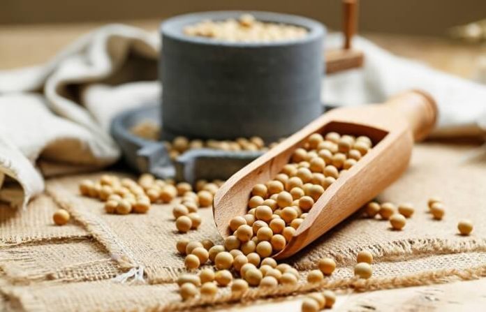 The Health Benefits of Soybeans - The Ingredient That Your Diet Needs