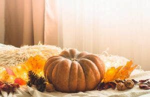 best place to shop for fall decor