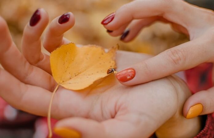 Fall nails designs