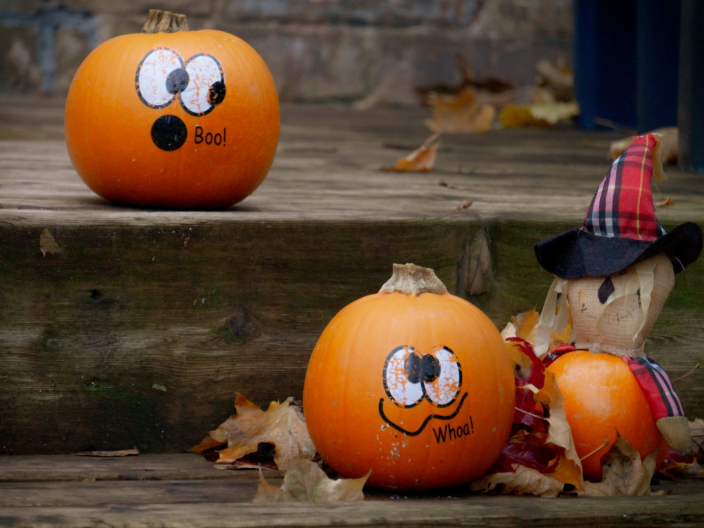 halloween pumpkins jack o lanterns