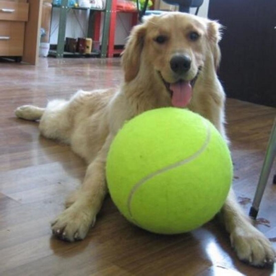 Gifts for Pets - XL Tennis Ball