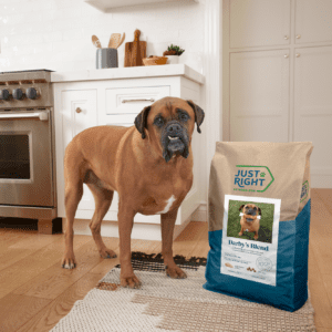 good dog food brands