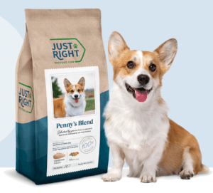 good dog food brands