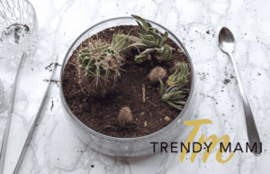 diy terrarium