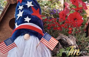 4th of July Gnome