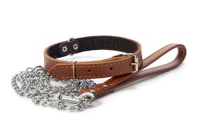 new puppy checklist - dog collar