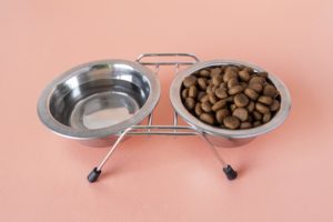 new puppy checklist - dog bowls