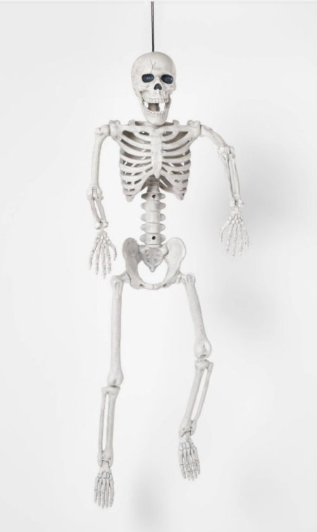 24" Posable Skeleton Halloween Decorative Mannequin - outdoor decorations for Halloween