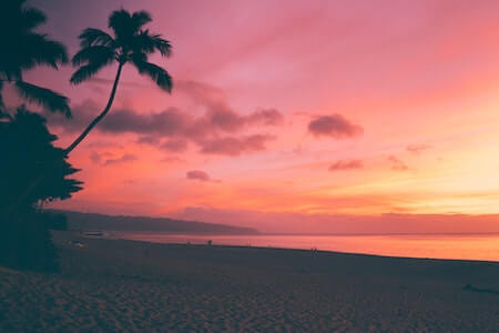 Palm Trees on Beach during Sunset - warm places to visit in December