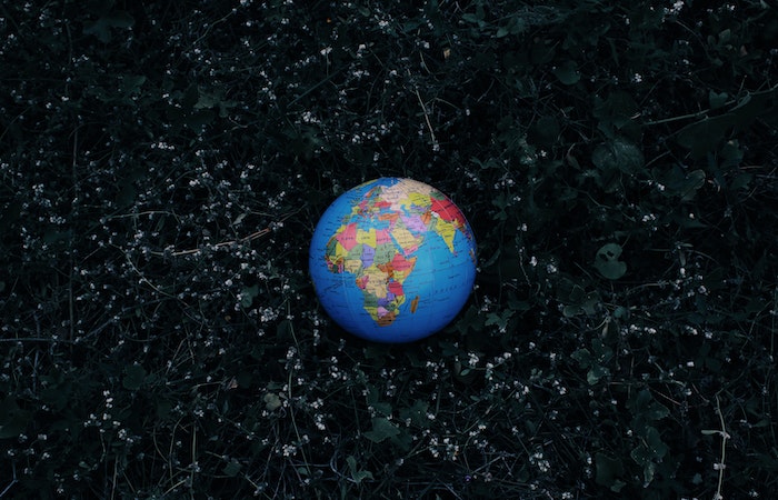 Earth globe placed on dark grass - eco friendly gift ideas