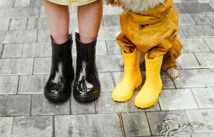 Person in Black Rain Boots Beside a Dog Wearing Yellow Rain Boots - waterproof walking shoes for women