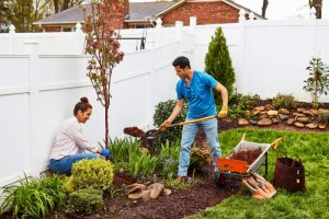 people planting a tree