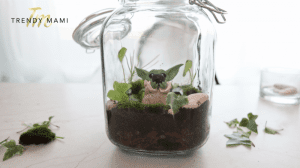 terrarium jar finished