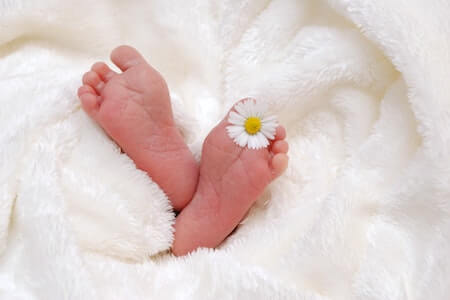 Baby's Feet With White Aster Flower - finding a home birth midwife