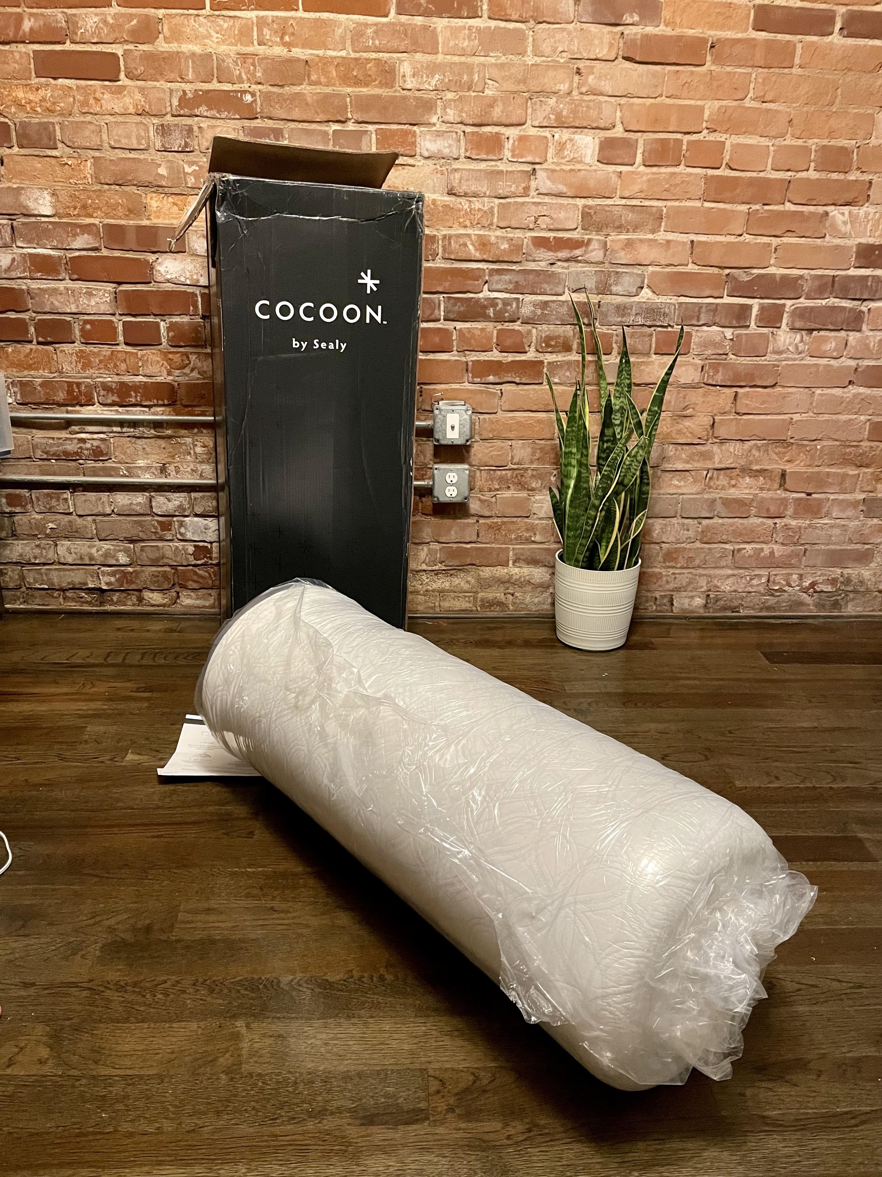 Cocoon by Sealy best memory foam mattress