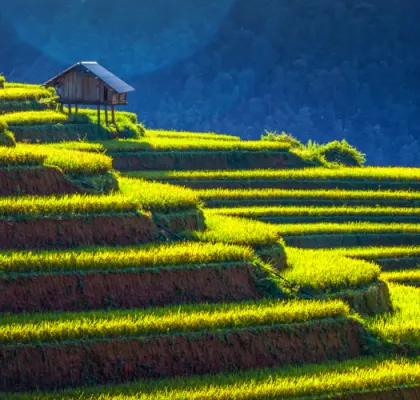 asia last minute vacation deals