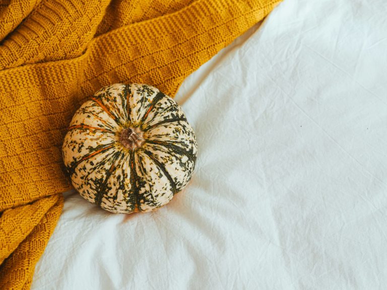 fall pumpkin fall throws and pillows