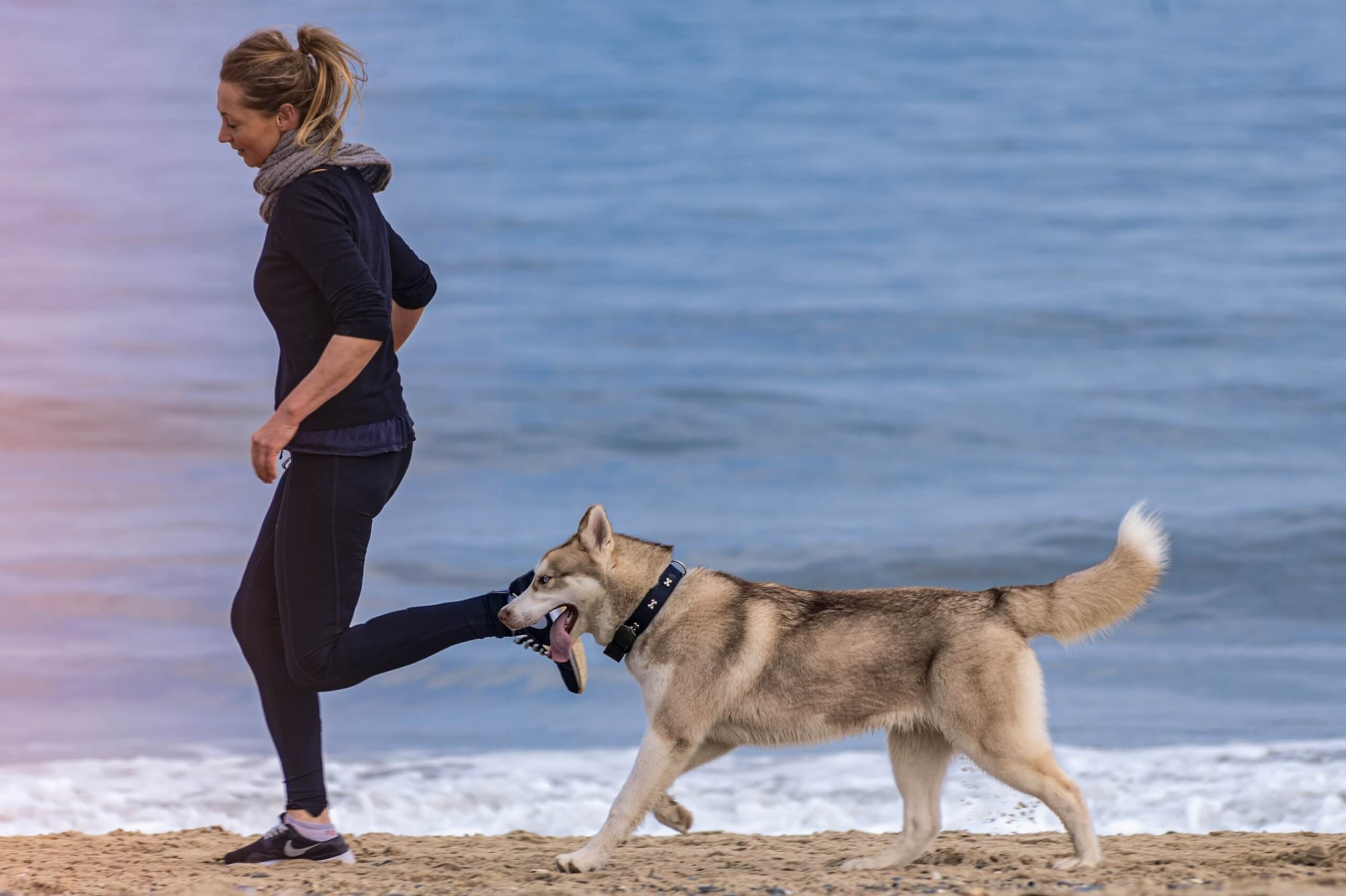 woman running on the beach with a dog women's workout clothes