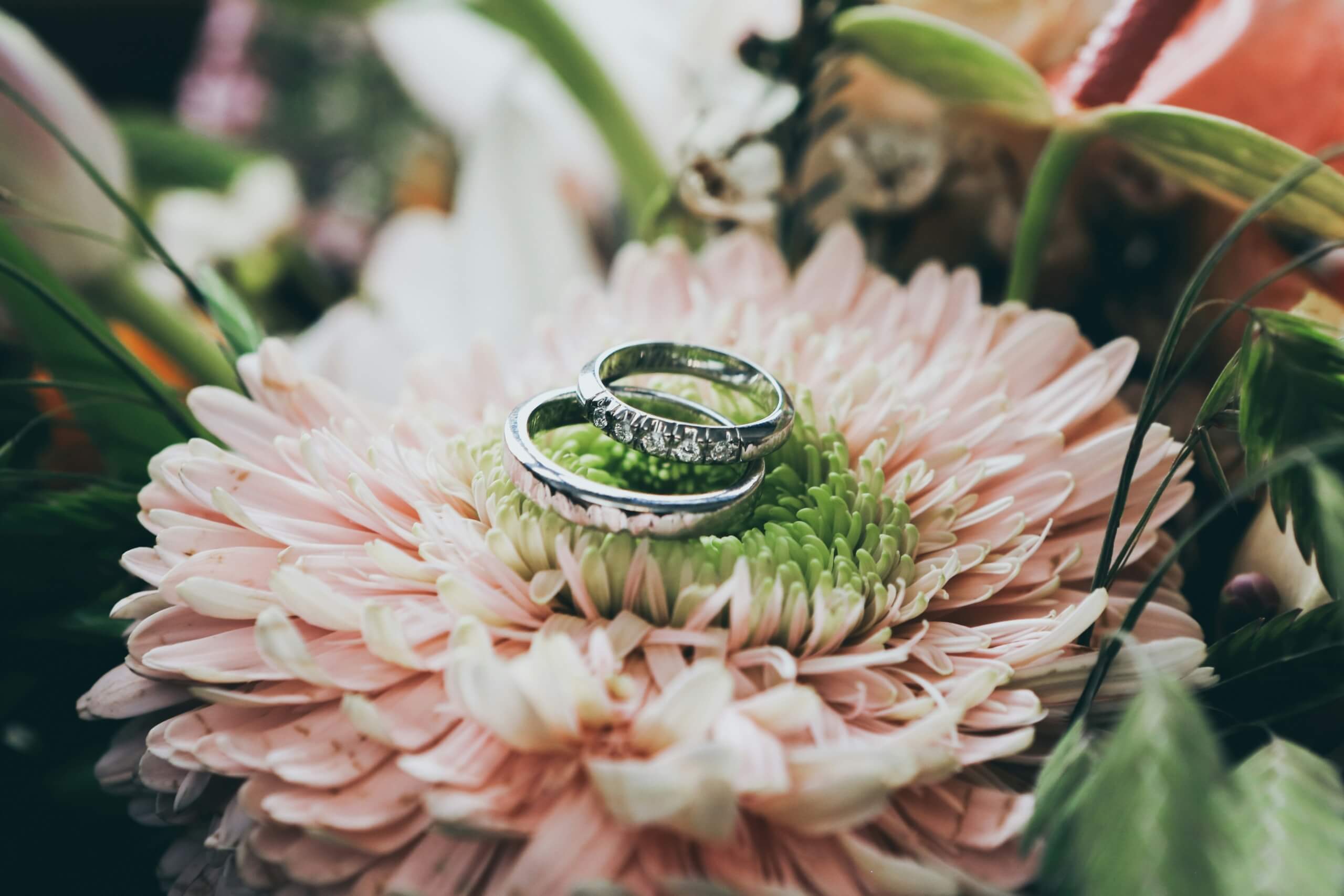 wedding rings how to find the right wedding vendors