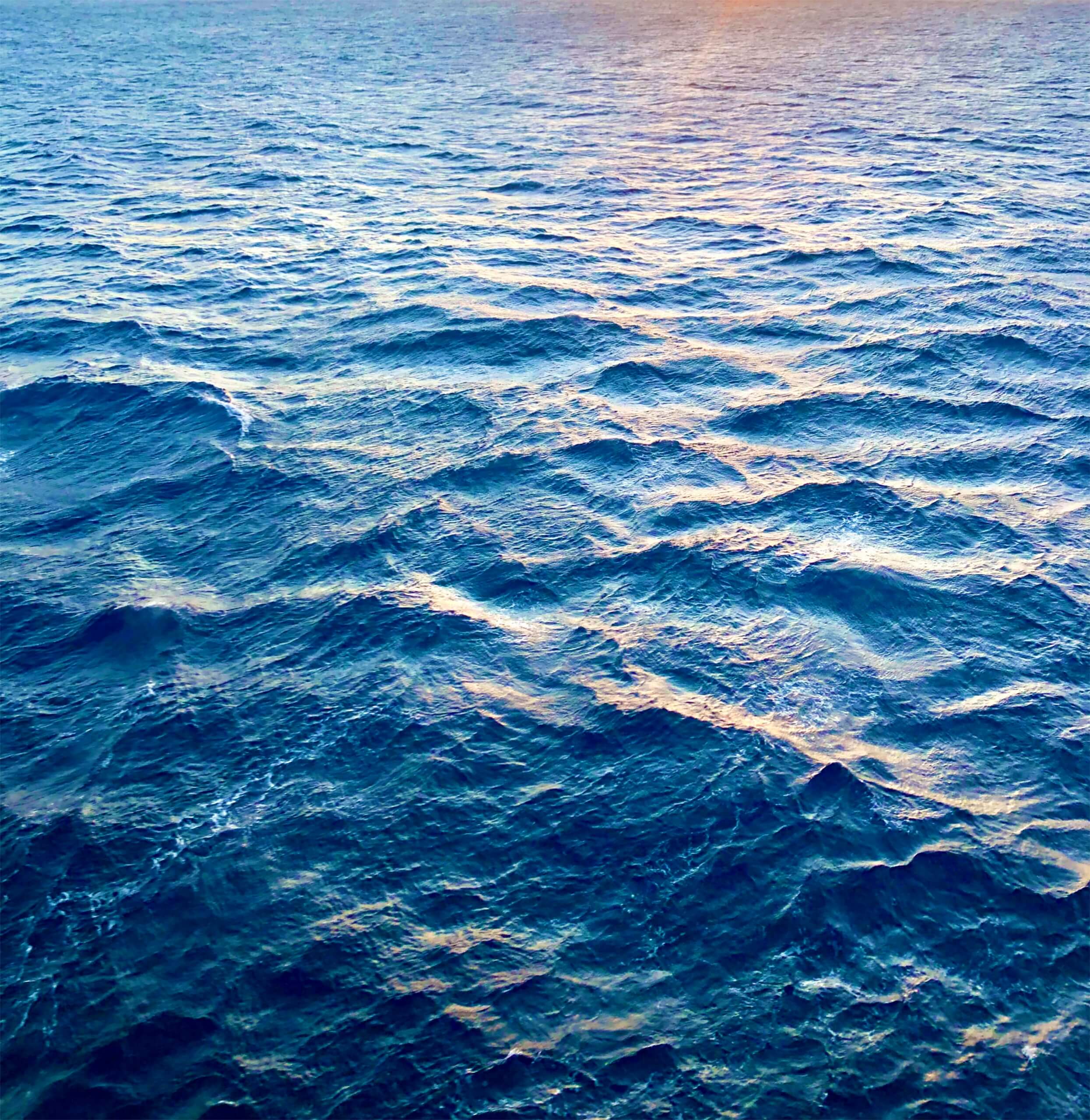 wave season ocean cruise booking mistakes